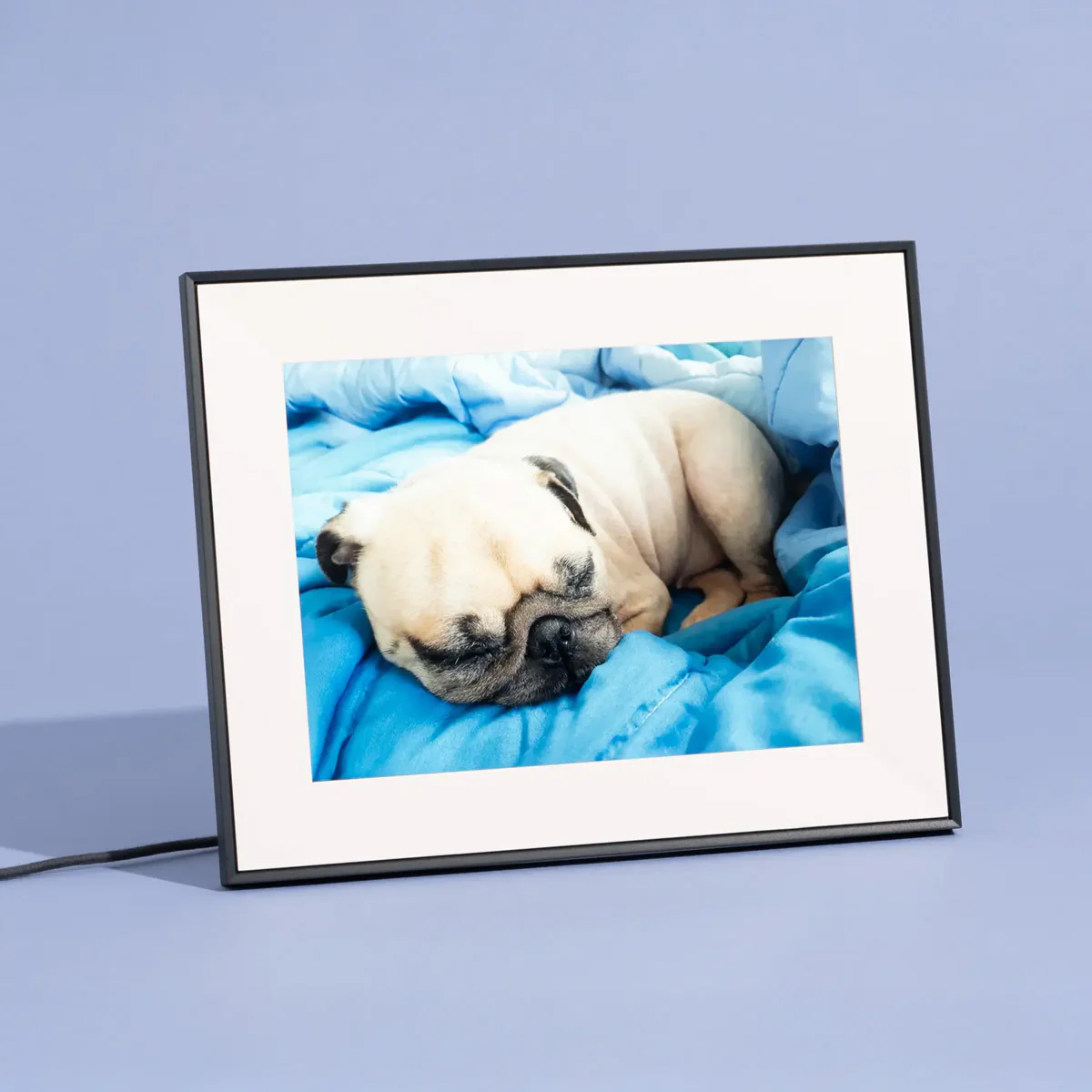 Aura Aspen 12-Inch Digital Photo Frame