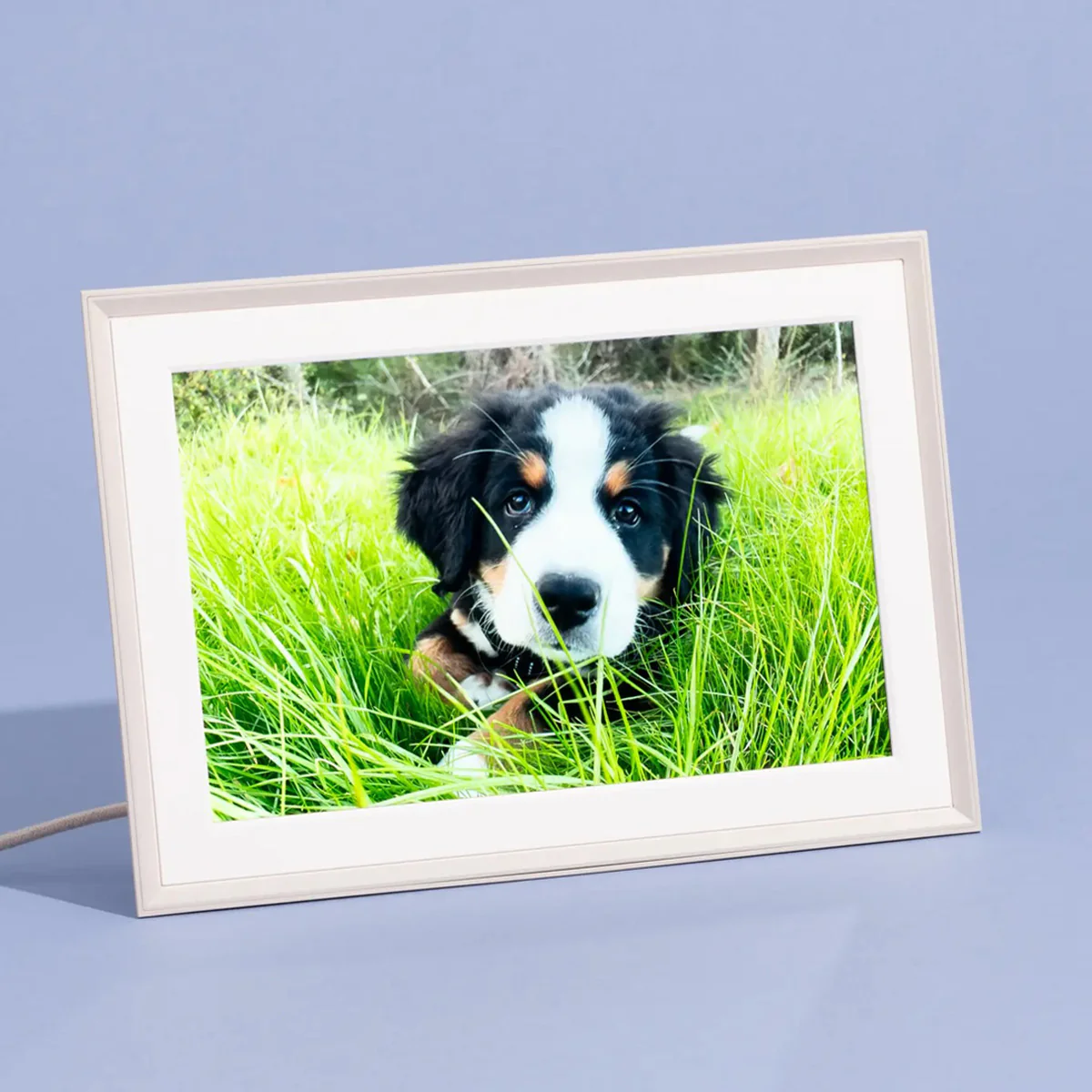 Aura Carver Mat 10-Inch Digital Photo Frame